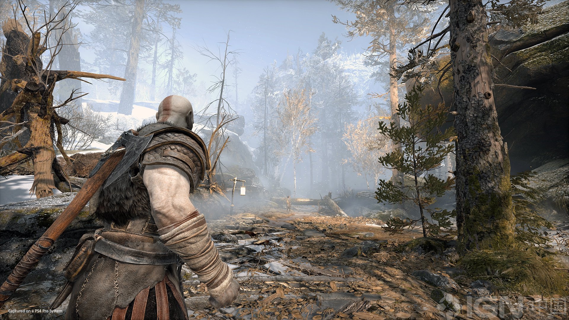 巫师3：狂猎 终极版 截图6